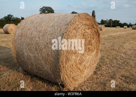 Heu machen, Große Rundballen Cheshire Farm. Stockfoto