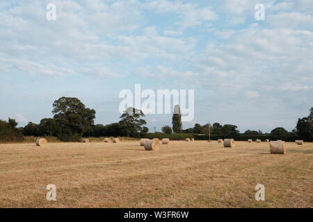 Heu machen, Große Rundballen Cheshire Farm. Stockfoto