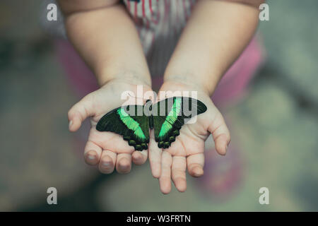 Schmetterling auf der Frau die Hand gegen die natürlichen grünen Hintergrund Stockfoto