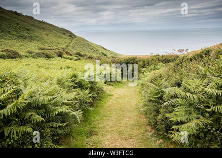 South West Costal Path North Devon Stockfoto