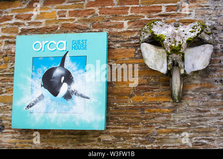 Ein Orca Schädel auf Orca Guest House in Stromness, Orkney, Schottland, Großbritannien. Stockfoto