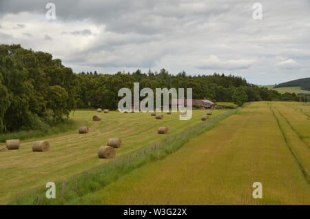 Landschaft auf der Halbinsel Black Isle in der Nähe von Munlochy auf der Black Isle, Schottland, Großbritannien Stockfoto