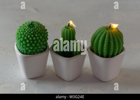 Drei Kerzen in Cactus Form auf weißem Hintergrund Stockfoto