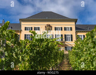Rüdesheimer Schloss Johannisberg, Deutschland, 01. Oktober 2018: Schloss Schloss Johannisberg Rheingau Stockfoto