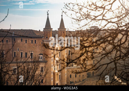 Urbino Marche Italien. Ducal Palast oder Palazzo Ducale aus dem Hügel. Verschwommen und Baumzweige Stockfoto