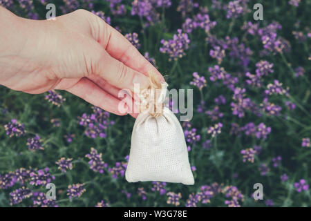 Frau hält in der Hand einen Beutel gefüllt mit trockener Lavendel. Lavendel Blumen auf Hintergrund. Stockfoto