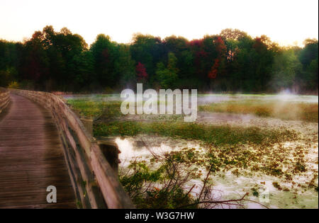 Märchen Wald hinter einem nebligen See. Im Vordergrund steht eine lange Holzbrücke am Wasser entlang. Seerosen wachsen auf der Oberfläche des Sees. USA, Michig Stockfoto