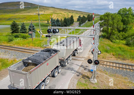 Northville Township, Michigan - ein Lkw überquert eine Eisenbahn auf dem Weg in die Erweiterte Entsorgung auf Deponien. Stockfoto