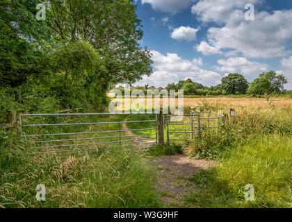 Naturschutzgebiet umliegenden Forge Mill und Bordesley Abbey in Redditch, Worcestershire. Stockfoto