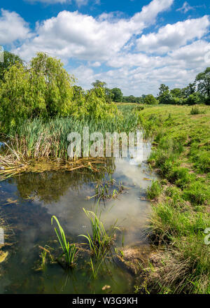 Naturschutzgebiet umliegenden Forge Mill und Bordesley Abbey in Redditch, Worcestershire. Stockfoto