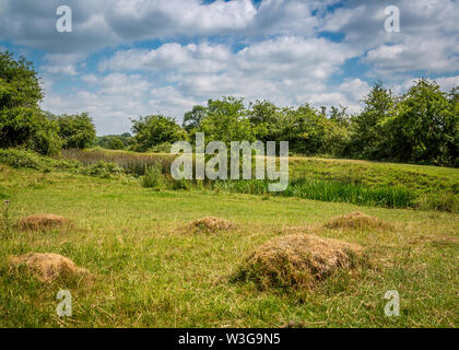 Naturschutzgebiet umliegenden Forge Mill und Bordesley Abbey in Redditch, Worcestershire. Stockfoto