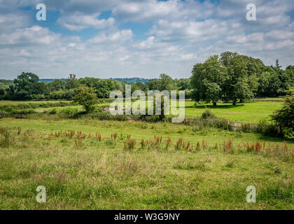 Naturschutzgebiet umliegenden Forge Mill und Bordesley Abbey in Redditch, Worcestershire. Stockfoto