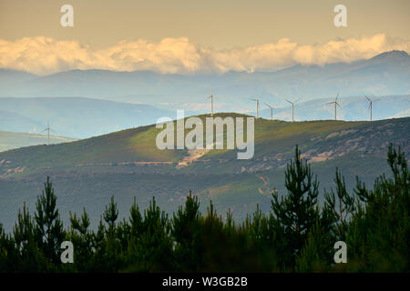 Windrad dreht Windkraftanlagen Feld in Spanisch Holz. Konzept der Erhaltung der Umwelt und umweltfreundliche Energie Stockfoto