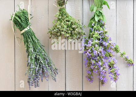 Frische, Bouquet, Lavendel, Geruch, Sommer, trocken, Outdoor, romantische, Liebe, Jahreszeit, Hintergrund, Text Feld, Deutschland, Europa, wilde, wilde Pflanze, Pflanze, Kraut, Stockfoto