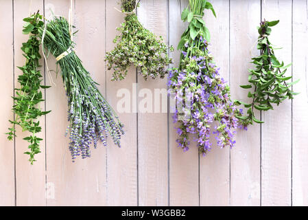 Frische Lavendel, Salbei, Minze und Majoran hängen an den Strauß auf einer weißen Wand zu trocknen Stockfoto