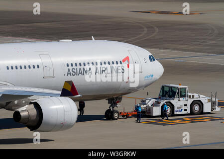 Ein Asiana Airbus A321 auf dem Vorfeld des Flughafens Haneda International Airport, Tokio, Japan. Stockfoto