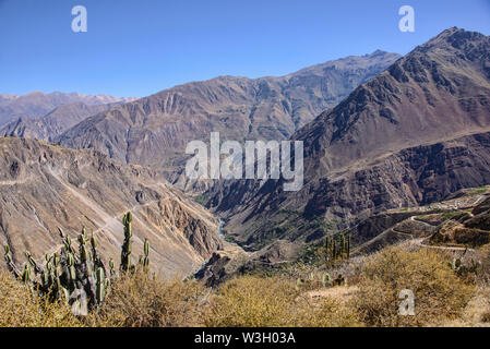 Blick auf den Colca Canyon, Cabanaconde, Peru Stockfoto