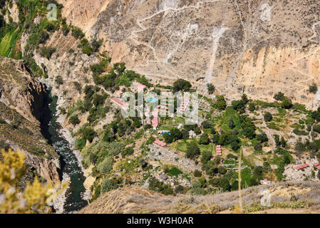 Sangalle Oase im Colca Canyon, Peru Stockfoto