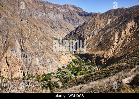 Sangalle Oase im Colca Canyon, Peru Stockfoto