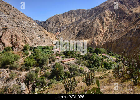 Sangalle Oase im Colca Canyon, Peru Stockfoto