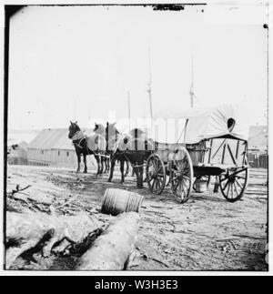 City Point, Virginia (Umgebung). Vier-Mule Militärmannschaft und Wagen Stockfoto