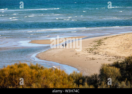 Sandpiper Beach in der Nähe der Freycinet und Coles Bay an der Ostküste von Tasmanien, Australien Menschen zu Fuß Hund Stockfoto