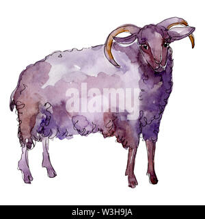 Ram farm animal isoliert. Aquarell Hintergrund Abbildung. Isolierte ram Abbildung Element. Stockfoto