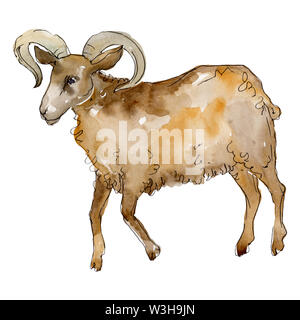 Ram farm animal isoliert. Aquarell Hintergrund Abbildung. Isolierte ram Abbildung Element. Stockfoto