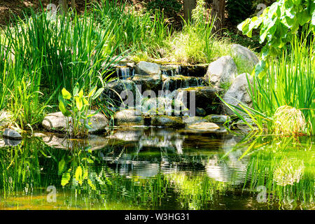 Ruhigen Garten Wasserfall mit dem Wasser fließt sanft über die Felsen in einem Teich und umgeben von Grün. Stockfoto