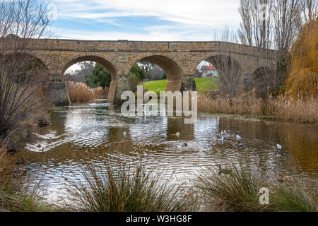 Richmond Bridge Tasmanien, 19. Jahrhundert Erbe Brücke auf der convict Trail in Richmond, Tasmanien, Australien Stockfoto