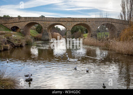 Richmond Bridge Tasmanien, 19. Jahrhundert Erbe Brücke auf der convict Trail in Richmond, Tasmanien, Australien Stockfoto