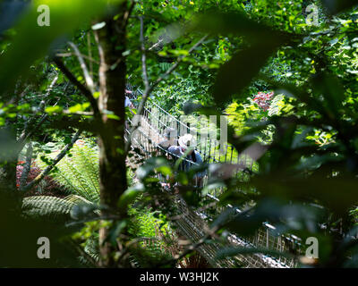 Burma Seilbrücke der Verlorenen Gärten von Heligan Pentewan Cornwall Stockfoto