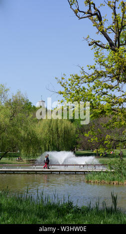 Debrecen Ungarn 04 19 2019 älteres Paar Spaziergänge in Debrecen in den großen Wald Park Stockfoto