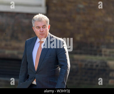 London, Großbritannien. 16. Juli 2019, Brandon Lewis kommt auf der wöchentlichen Kabinettssitzung in Downing Street 10, London, UK. Kredit Ian Davidson/Alamy leben Nachrichten Stockfoto