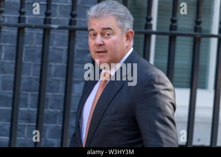 London, Großbritannien. 16. Juli 2019, Brandon Lewis kommt auf der wöchentlichen Kabinettssitzung in Downing Street 10, London, UK. Kredit Ian Davidson/Alamy leben Nachrichten Stockfoto
