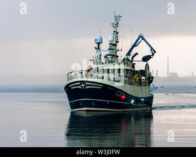 Crosshaven, Cork, Irland. 16. Juli, 2019. Trawler Buddy M liefert an einem bewölkten Morgen von der Keltischen See mit einem Fang von Schellfisch und Wittling Crosshaven, Co Cork, Irland. Quelle: David Creedon/Alamy leben Nachrichten Stockfoto