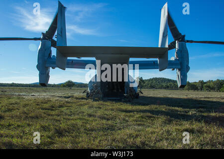 Marines mit Amphibious Reconnaissance Platoon des 31 Marine Expeditionary Unit aussteigen aus einer MV-22 B Osprey Kipprotor-flugzeug mit Marine Medium Tiltrotor Squadron 265 (verstärkt), 31 MEU, während einer Aufklärung und Überwachung in den Stanage Bay, Queensland, Australien, nach der Abfahrt das Amphibisches Schiff USS Wasp (LL 1), 12. Juli 2019. Wasp, Flaggschiff der Wasp amphibischen bereit, Gruppe, mit Eingeschifft 31 MEU, nimmt derzeit an Talisman Sabre 2019 vor der Küste im Norden von Australien. Eine bilaterale, Biennale, Talisman Säbel ist Design Stockfoto