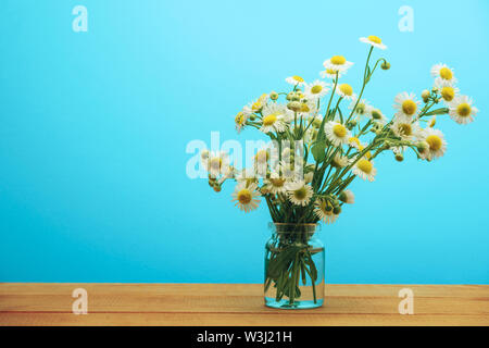 Schöne Kamille in Vase auf einem roten Holztisch und blauem Hintergrund behid. Stockfoto