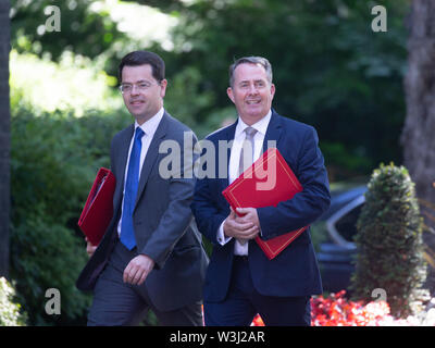 London, Großbritannien. 16. Juli, 2019. Liam Fox und James Brokenshire, kommt für die Sitzung. Theresa May Vorsitz möglicherweise Ihre letzte Kabinettssitzung, bevor Sie die Schritte unten am 24. Juli. Credit: Tommy London/Alamy leben Nachrichten Stockfoto