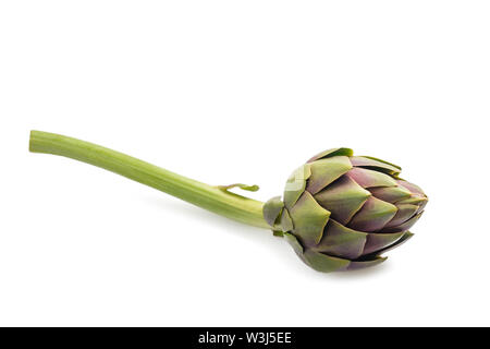 Frische Artischocke auf weißem Hintergrund Stockfoto