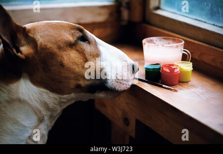 Red Dog Rasse Bull Terrier interessiert schnuppert Gouachefarben von verschiedenen Farben, die auf einer hölzernen Fensterbänke sind. Der Hund - der beste Freund des Menschen und ist Stockfoto