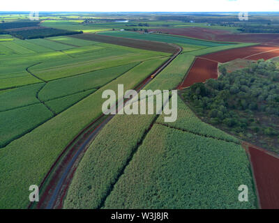 Antenne von Zuckerrohr Zug schleppen frisches Zuckerrohr zu den Isis Zentrale Mühle in der Nähe Childers Queensland Australien Stockfoto