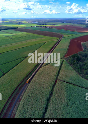 Antenne von Zuckerrohr Zug schleppen frisches Zuckerrohr zu den Isis Zentrale Mühle in der Nähe Childers Queensland Australien Stockfoto