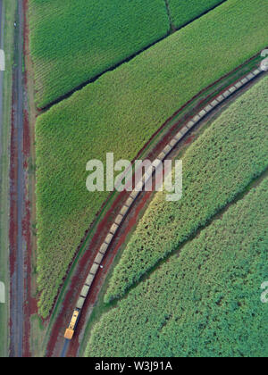 Antenne von Zuckerrohr Zug schleppen frisches Zuckerrohr zu den Isis Zentrale Mühle in der Nähe Childers Queensland Australien Stockfoto