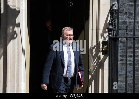 London, Großbritannien. 16. Juli, 2019. David Mundell MP, Minister für Schottland, Blätter 10 Downing Street nach einer Kabinettssitzung. Credit: Mark Kerrison/Alamy leben Nachrichten Stockfoto