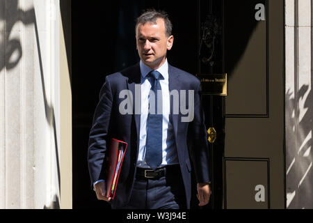 London, Großbritannien. 16. Juli, 2019. Alun Cairns MP, Minister für Wales, Blätter 10 Downing Street nach einer Kabinettssitzung. Credit: Mark Kerrison/Alamy leben Nachrichten Stockfoto