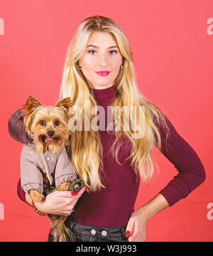 Frau tragen Yorkshire Terrier. Hunde brauchen Kleidung. Bekleidung und Accessoires. Heimtierbedarf. Abrichten Hund für kaltes Wetter. Die Hunderassen sollten Mäntel tragen. Mädchen adorable blonde Hug kleiner Hund im Wappen. Stockfoto