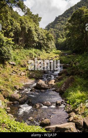 Kleiner Fluss durch das Wasser aus dem Wasserfall geschaffen, von Steinen und Felsen und einem wilden grünen Wald umgeben. Südlich von Sao Miguel, Azoren, Portugal Stockfoto