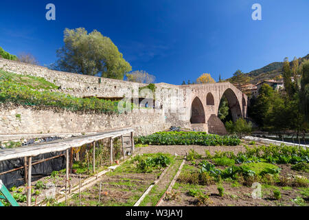 Sant Joan de les Abadesses, Katalonien, Spanien. Alte Brücke, Pont Vell. Stockfoto