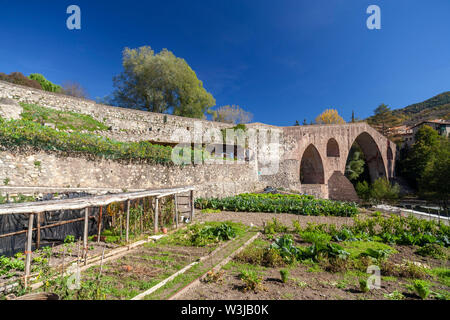 Sant Joan de les Abadesses, Katalonien, Spanien. Alte Brücke, Pont Vell. Stockfoto